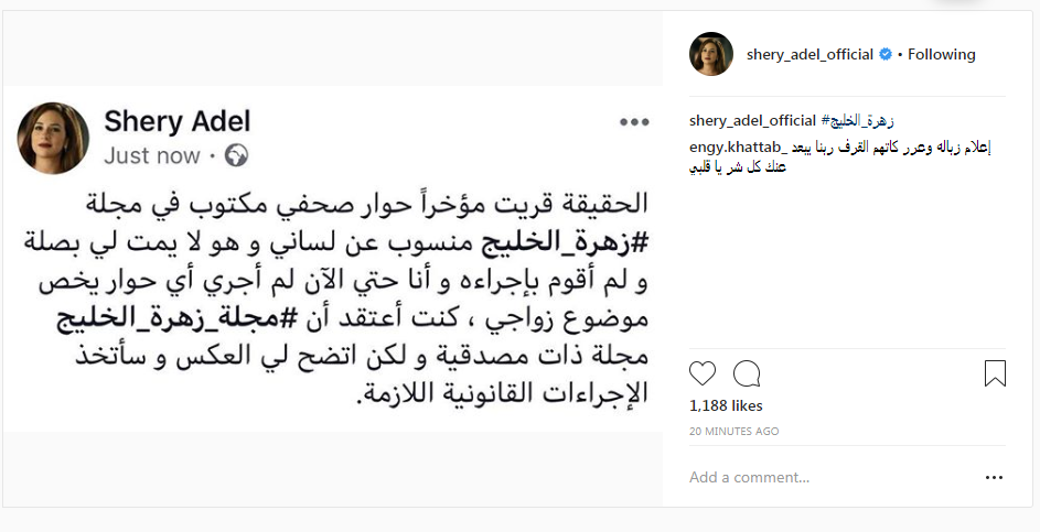 بوست الفنانة شيرى عادل
