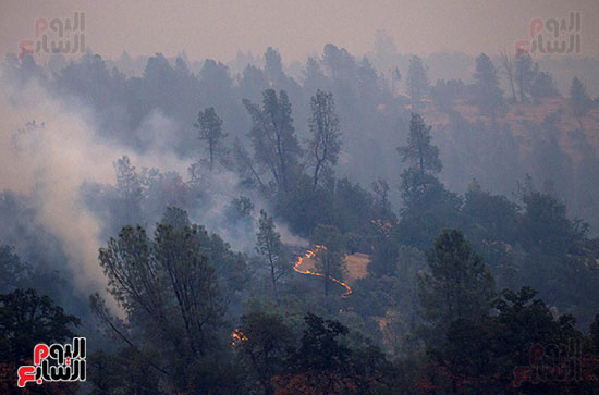 حرائق غابات كاليفورنيا 