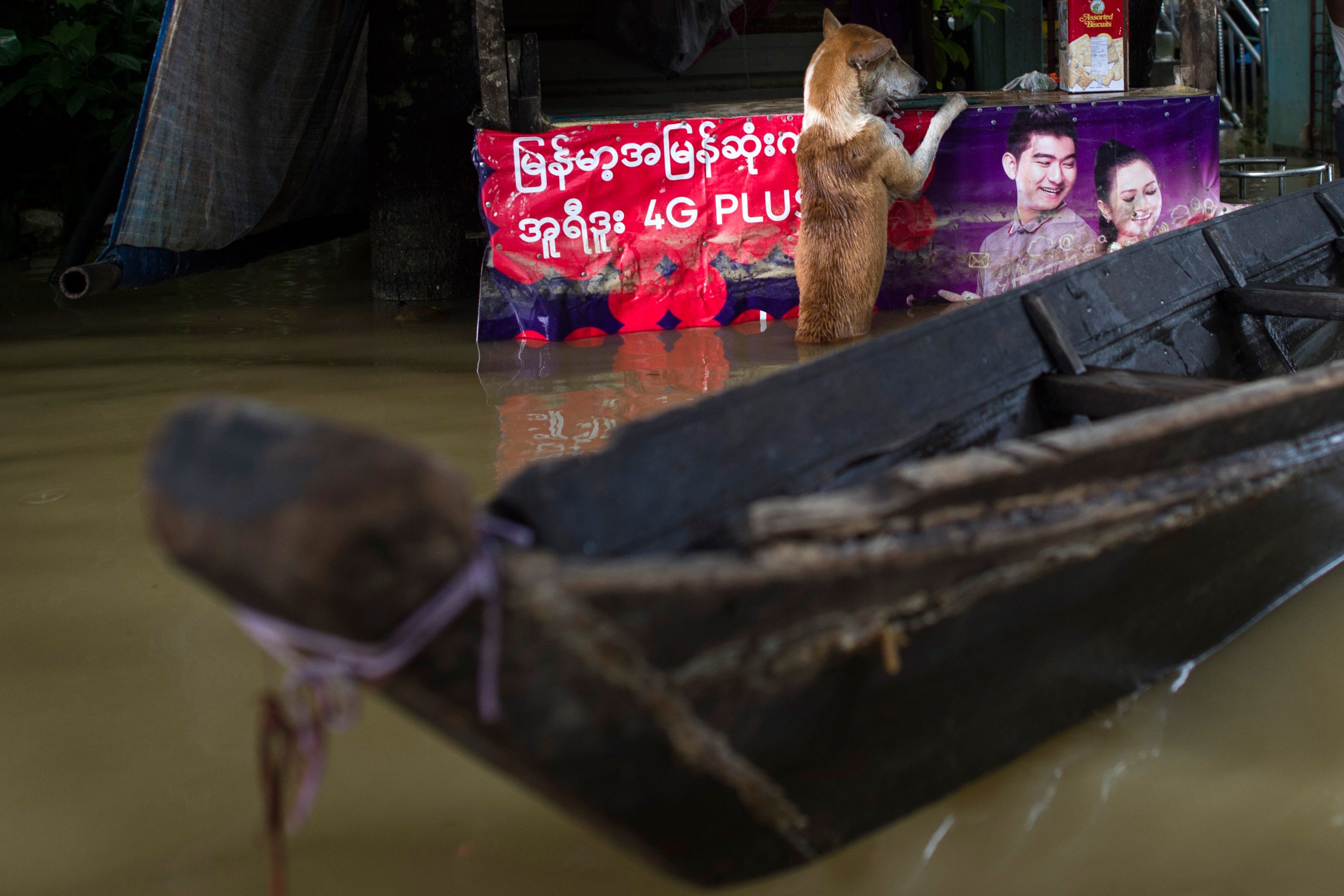 الفيضانات فى ميانمار (7)