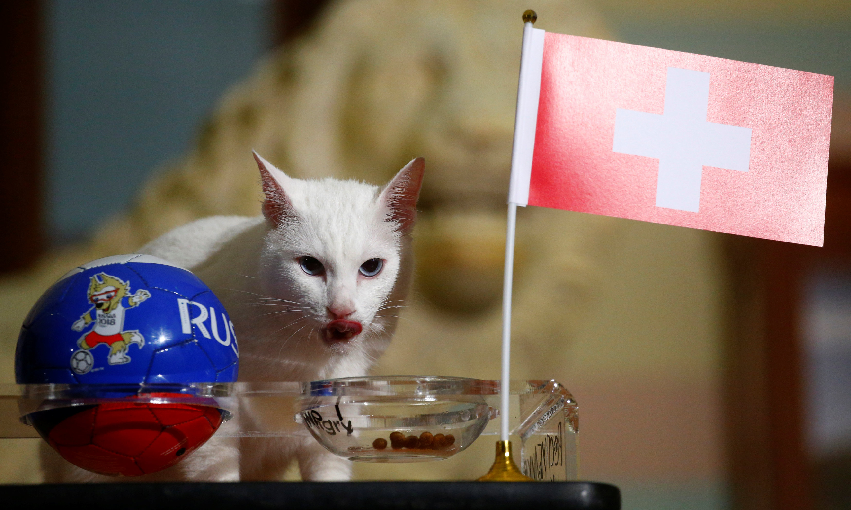"أخيل" يتوقع فوز منتخب سويسرا وصعوده لربع النهائى