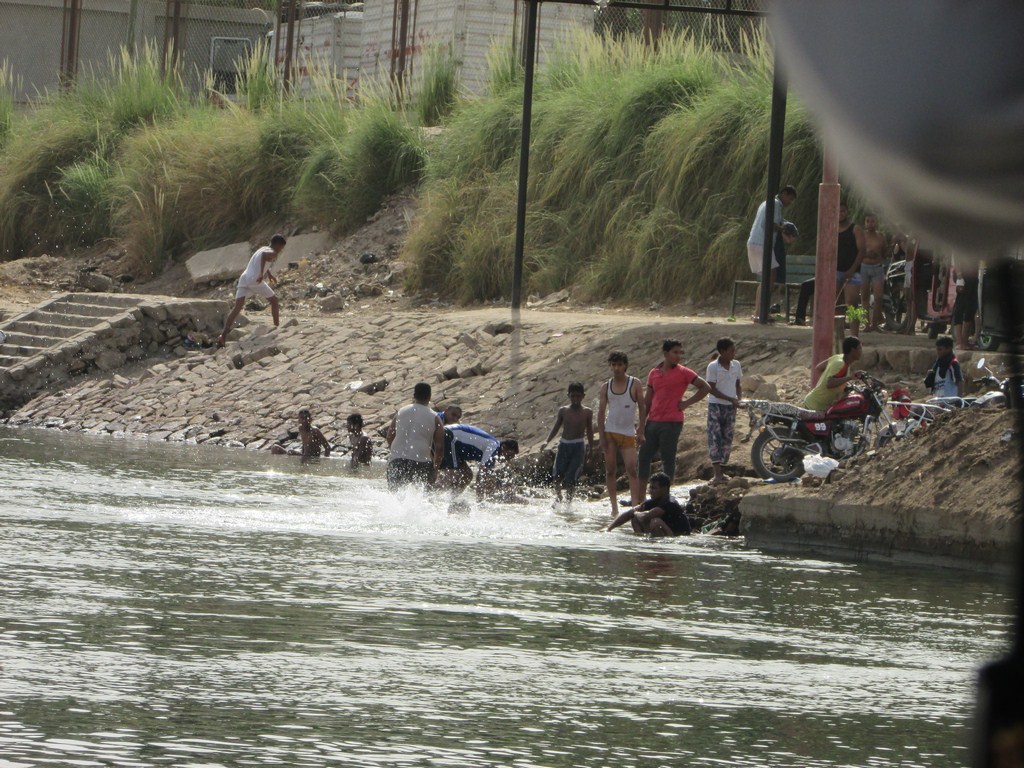        جانب من سباحة الشباب والاطفال في نهر النيل