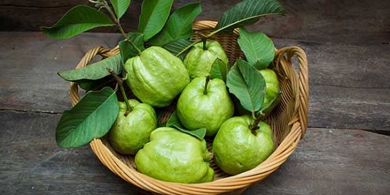 اوراق الجوافة
