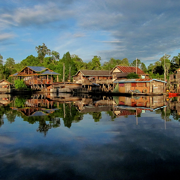 Betung Kerihun Danau Sentarum Biosphere Reserve Kapuas Hulu، Indonesia