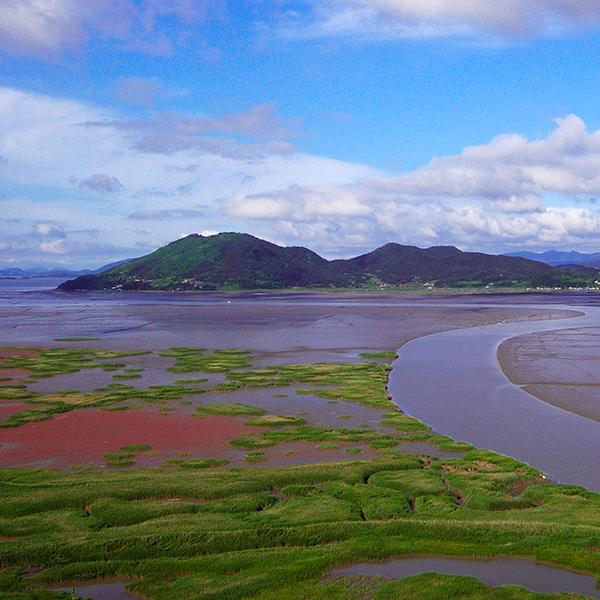 محمية سونتشون للمحيط الحيوي ، جمهورية كوريا