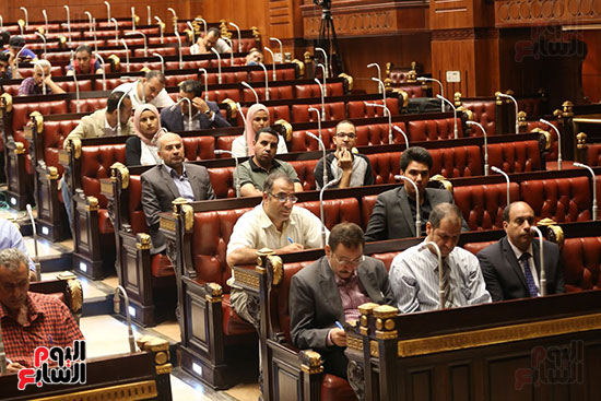 المؤتمر الصحفى للبرلمان (8)