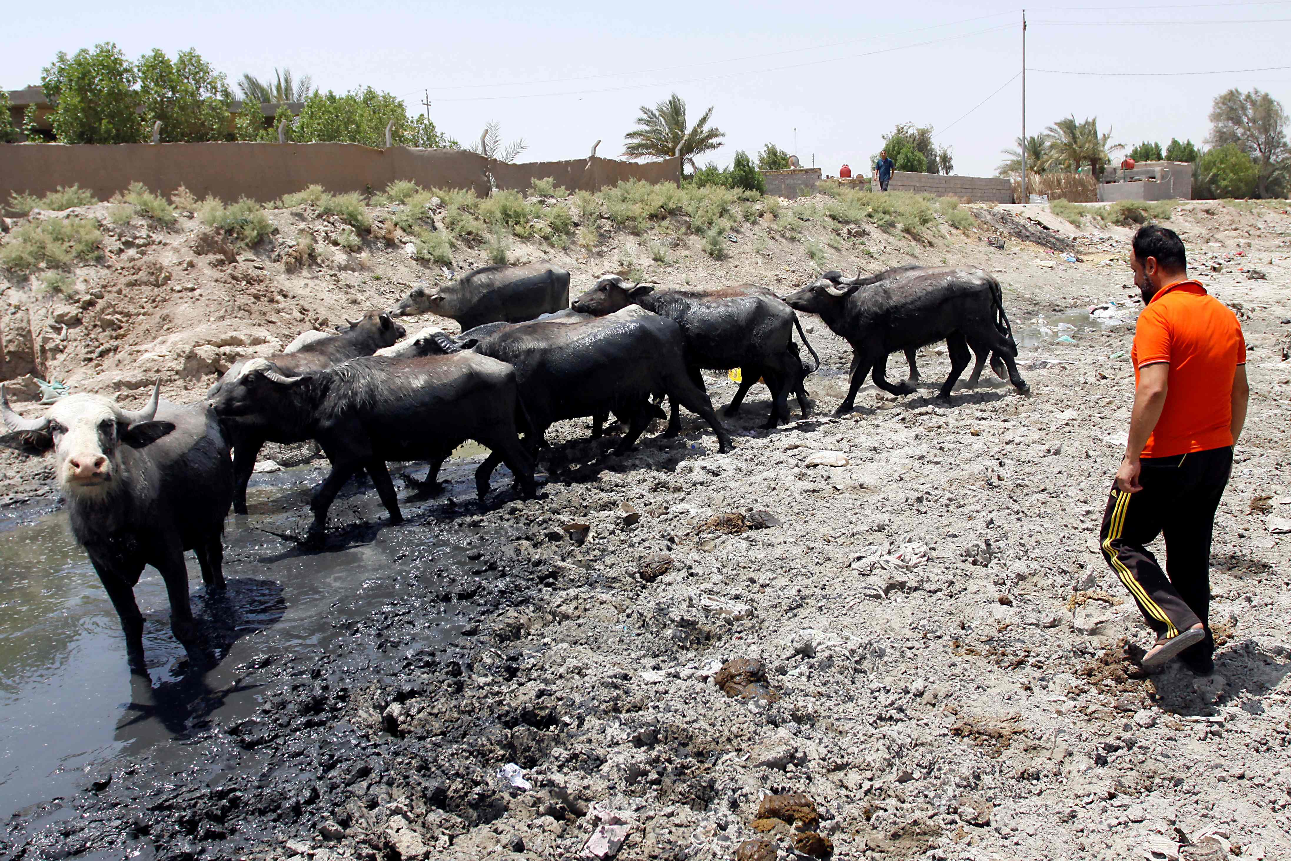 جفاف الأنهار فى العراق