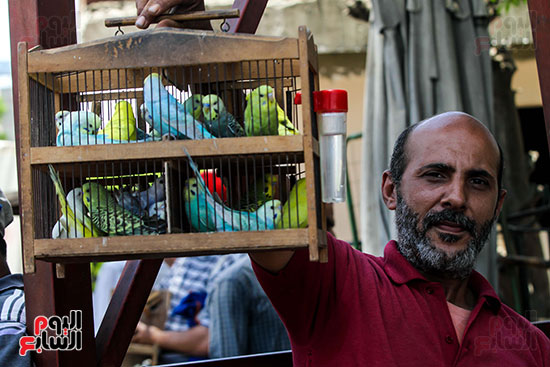 صور سوق العصافير (31)