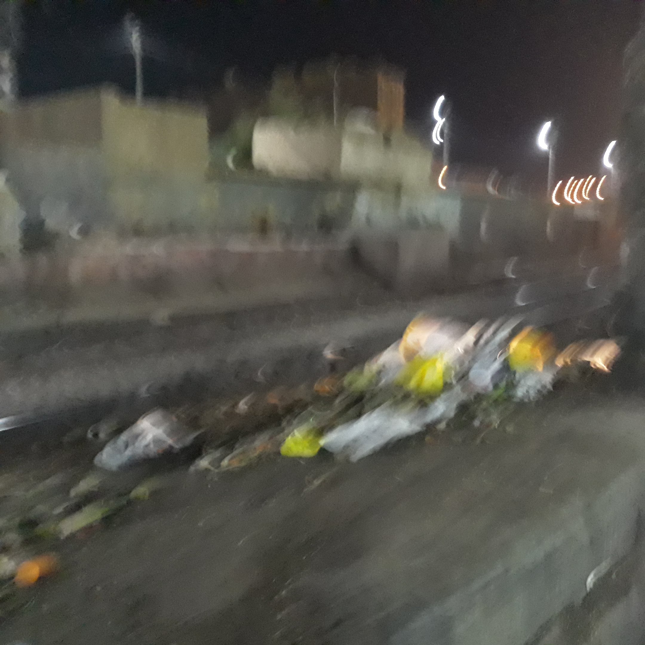انتشار القمامة بمزلقان محطة السكة الحديد (4)
