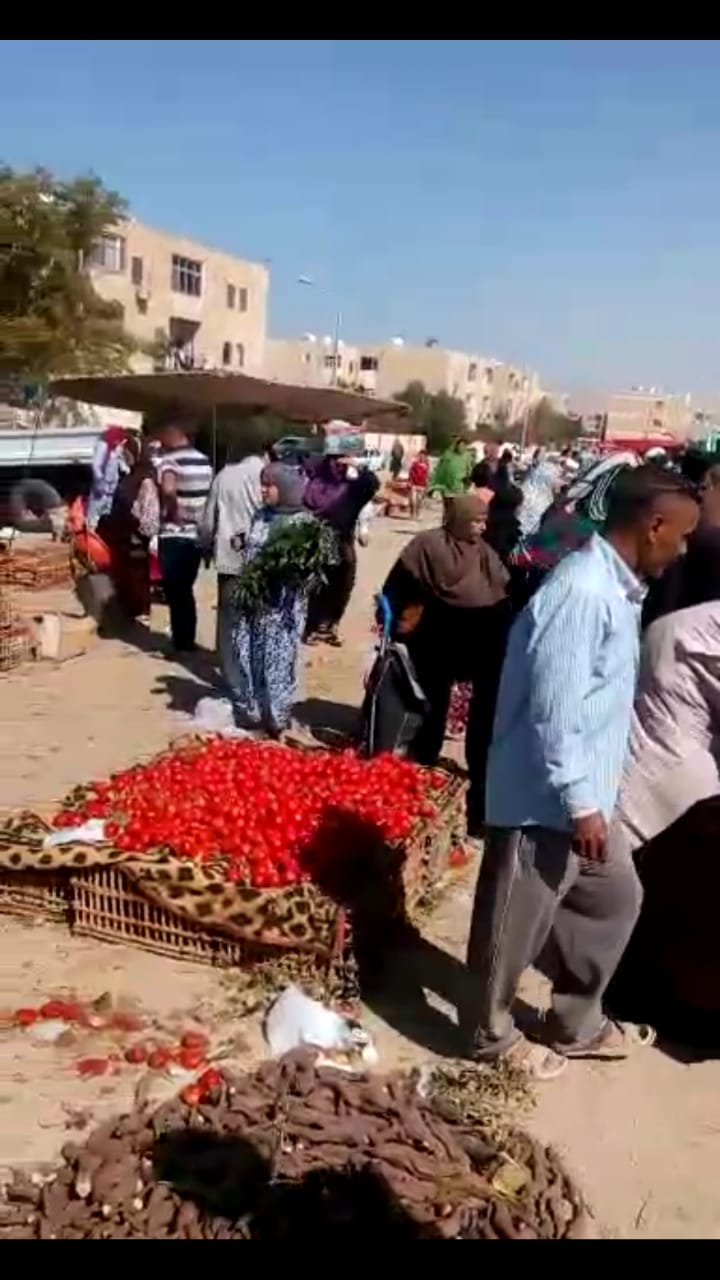 رئيس مدينة طور سيناء يتفقد سوق حى بدر  (3)