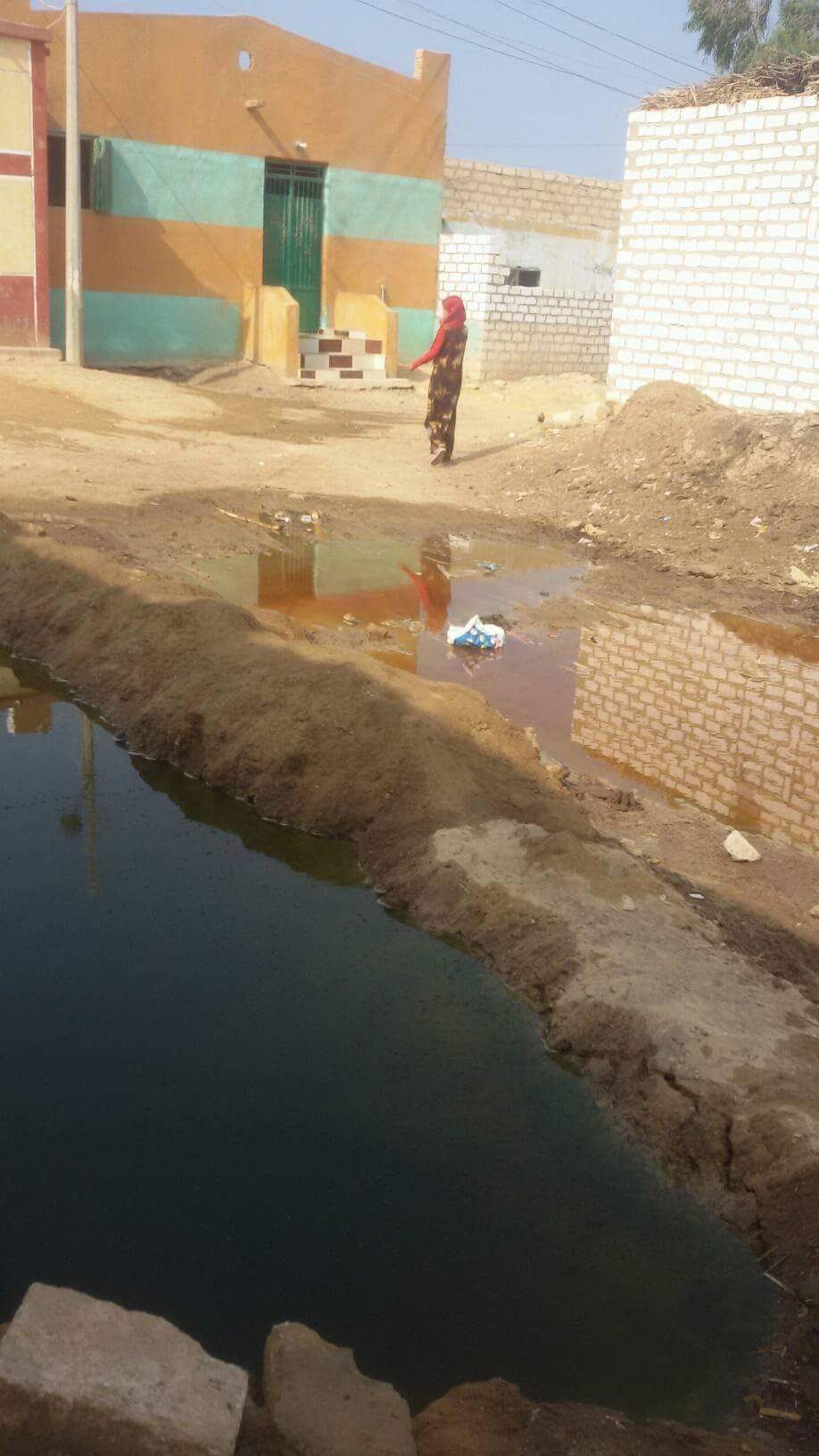 المياه الجوفية تهدد منازل الحيبة فى بنى سويف  (3)