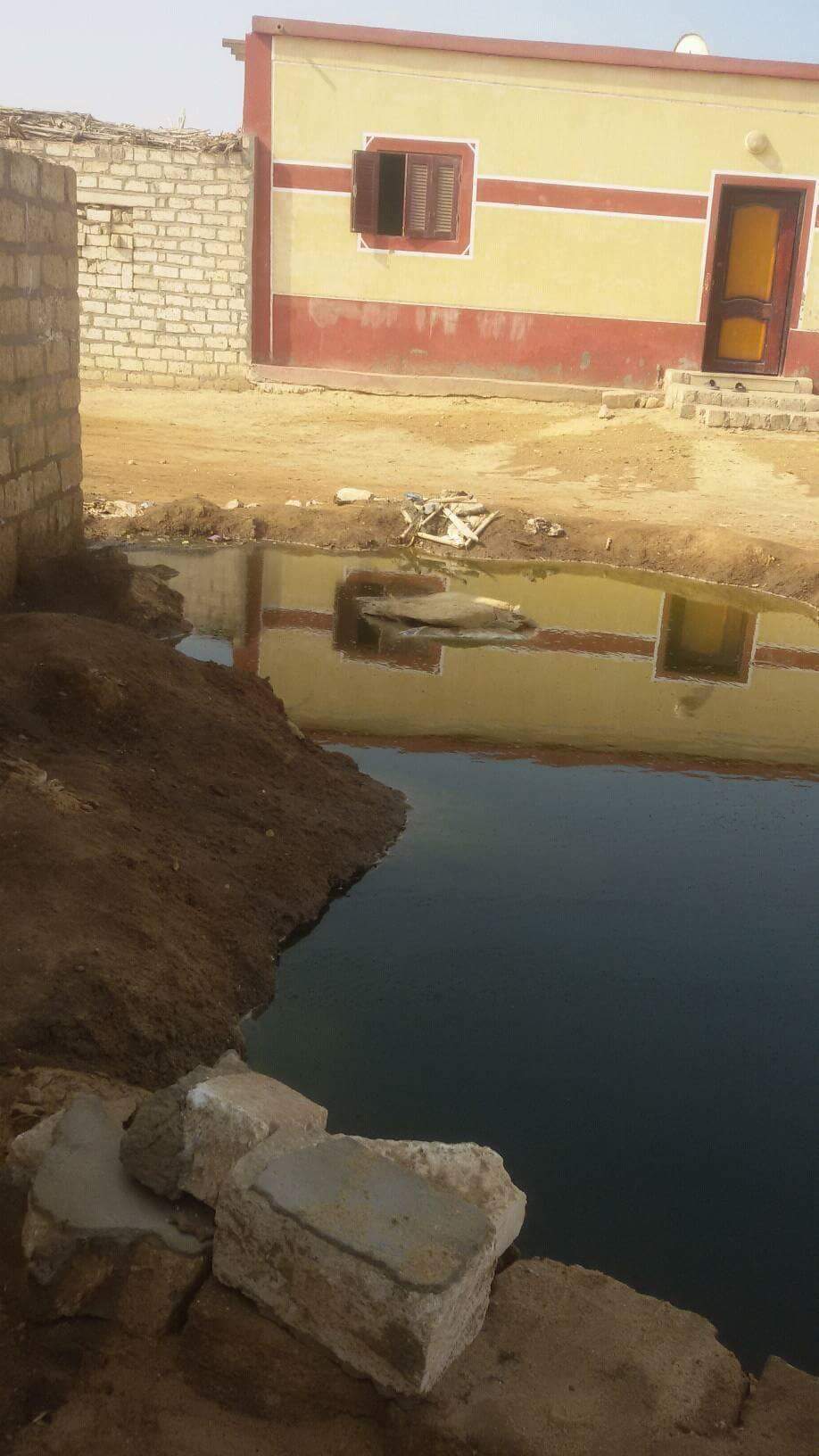 المياه الجوفية تهدد منازل الحيبة فى بنى سويف  (2)