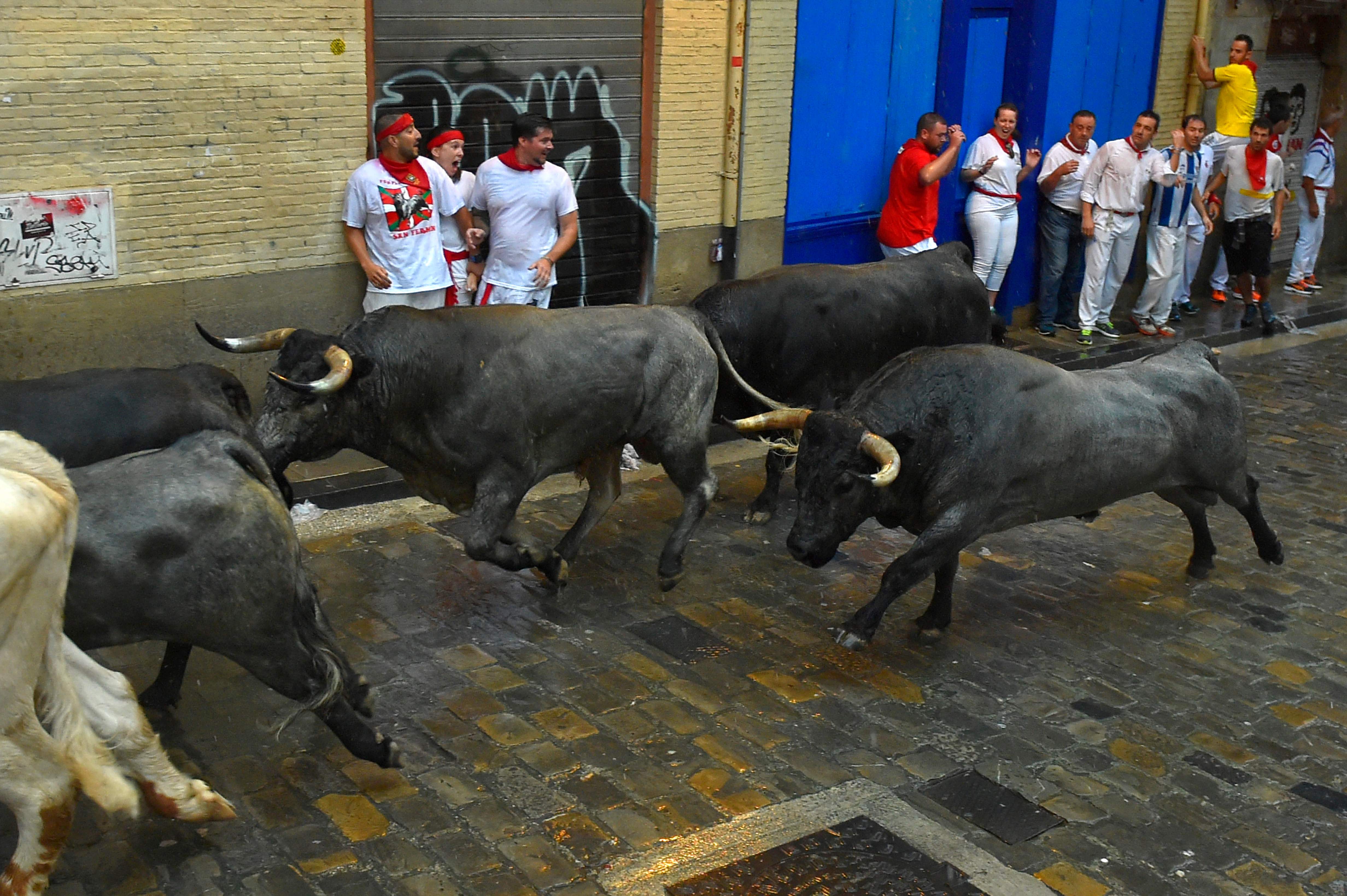 استمرار فعاليات مصارعة الثيران فى إسبانيا