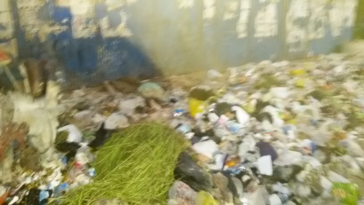 القمامة بشارع غرب السكة الحديد (1)