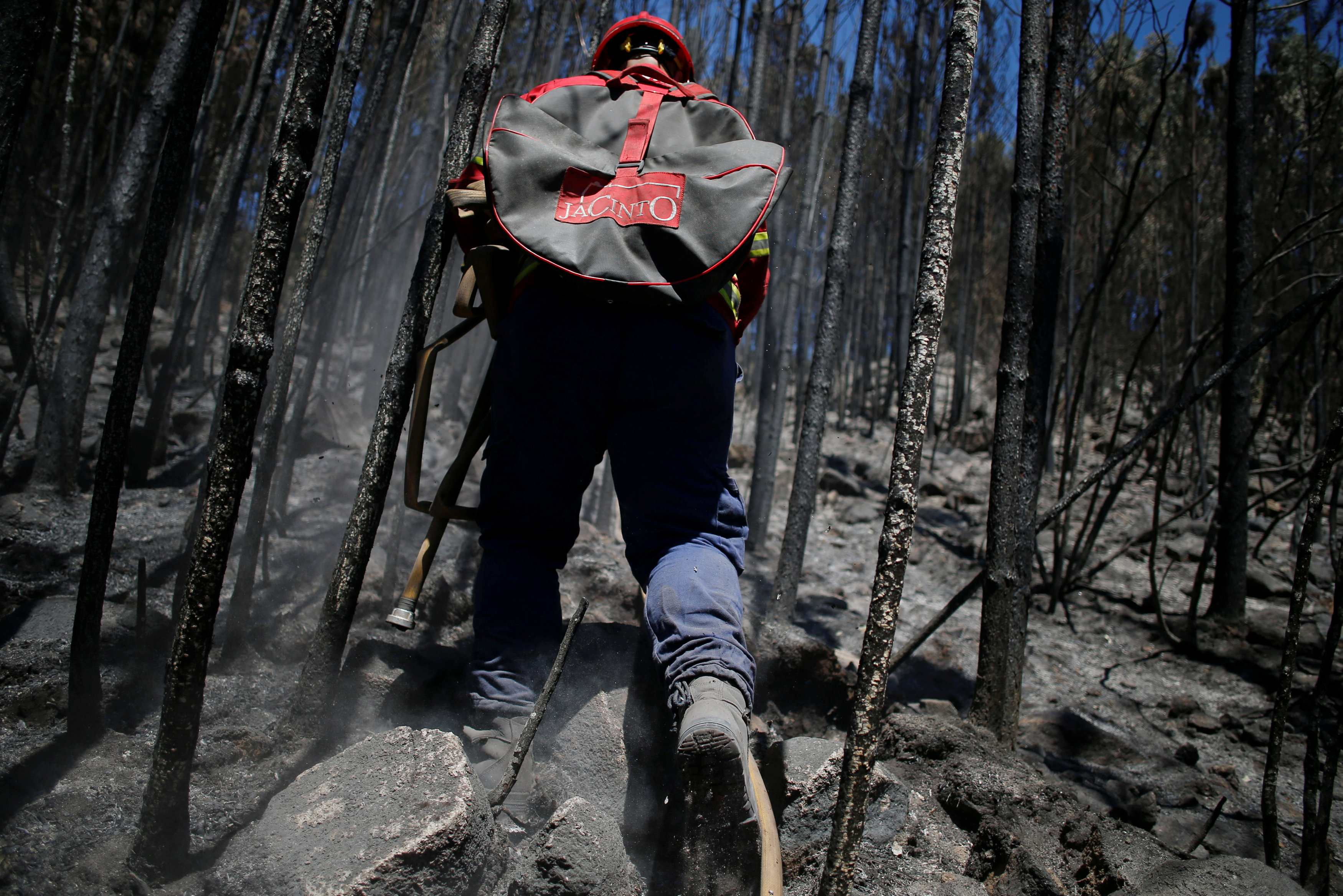 أحد رجال الإطفاء أثناء السيطرة على حرائق الغابات
