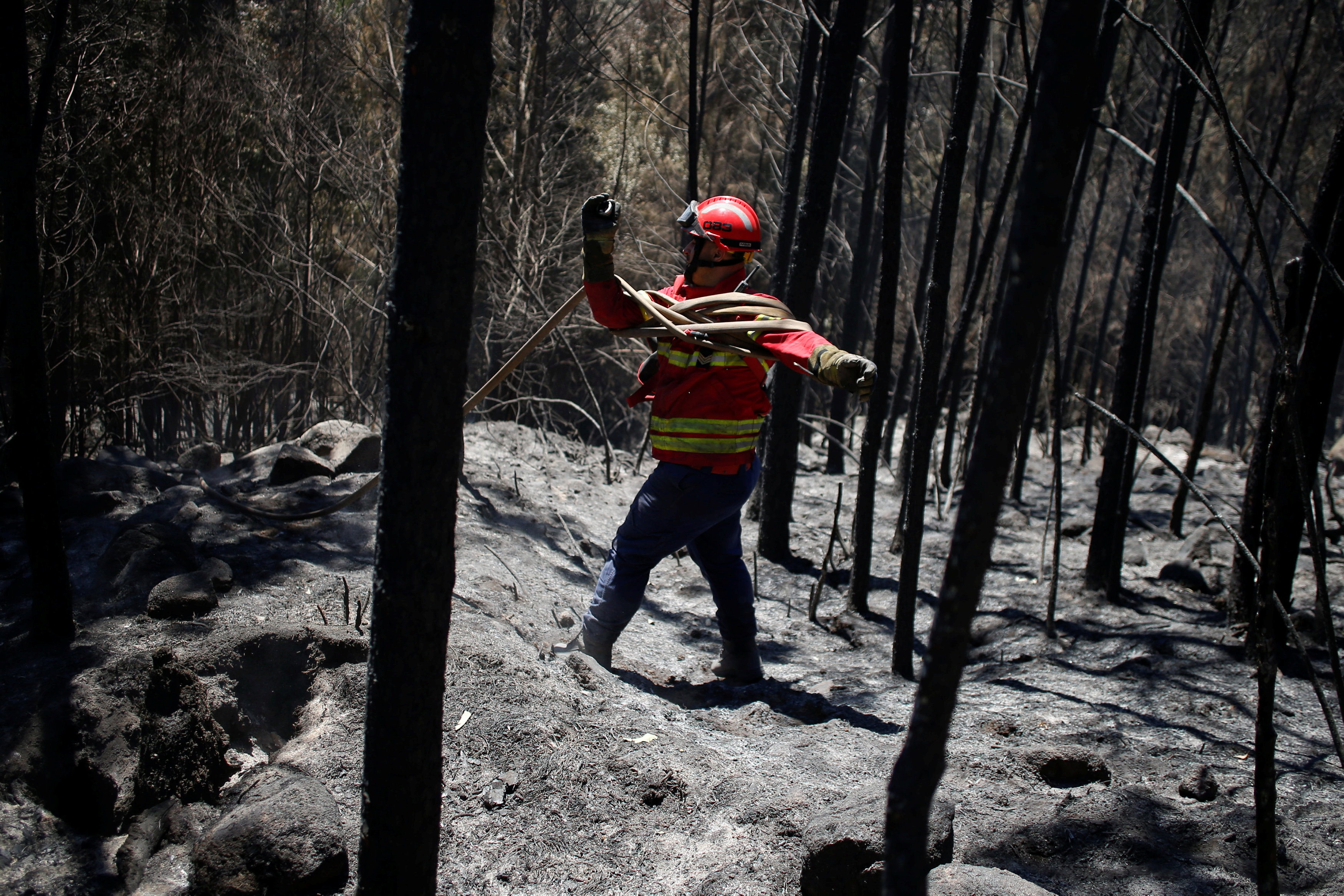 رجال الإطفاء يواصلون إطفاء حريق الغابات