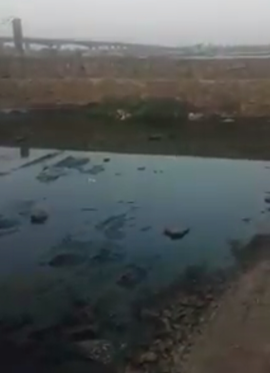 4- تجمع مياه الصرف امام فتحة السور المطل على النيل