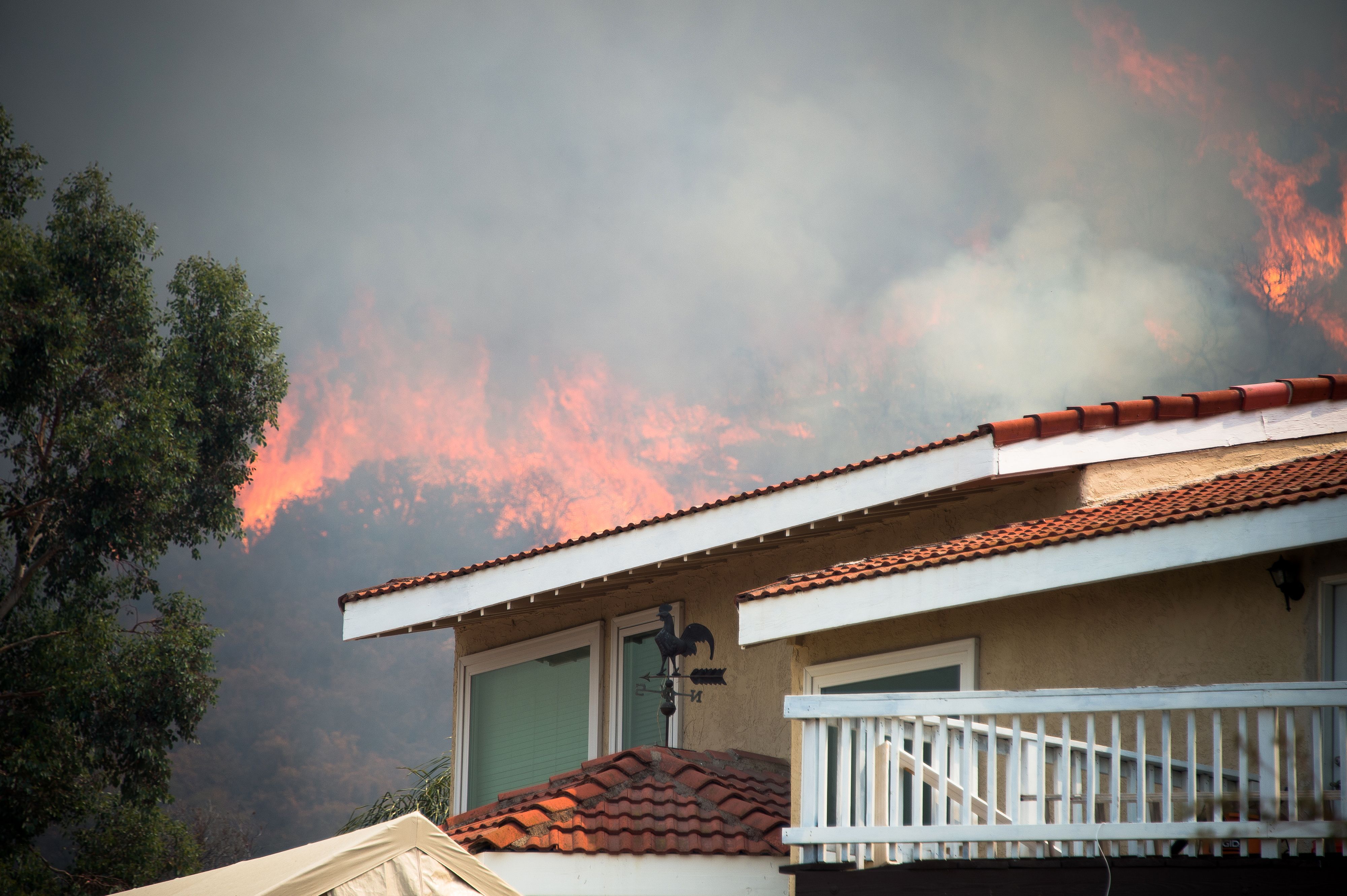 الحرائق تلتهم غابات كاليفورنيا