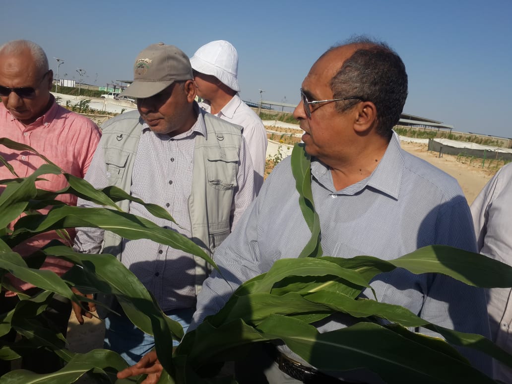 وزير الزراعة  بمشروع غرب المنيا