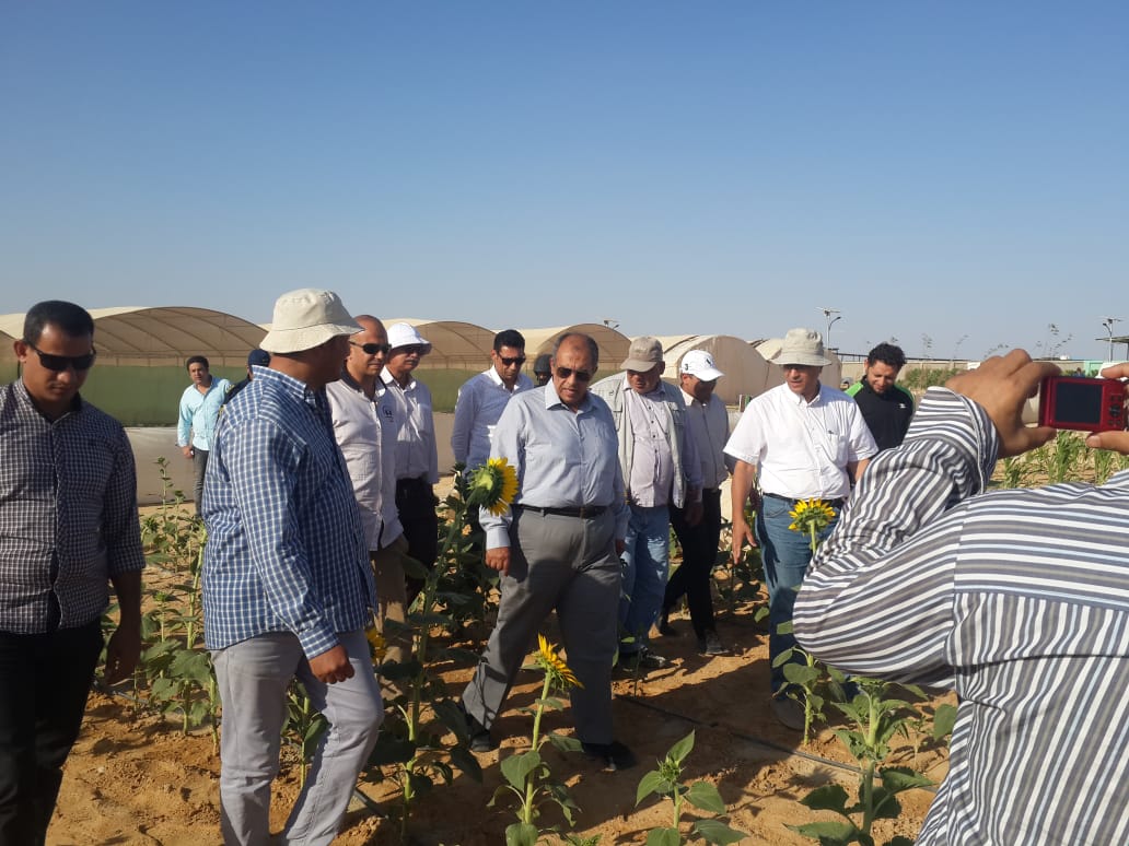 وزير الزراعة  داخل مشروع غرب المنيا