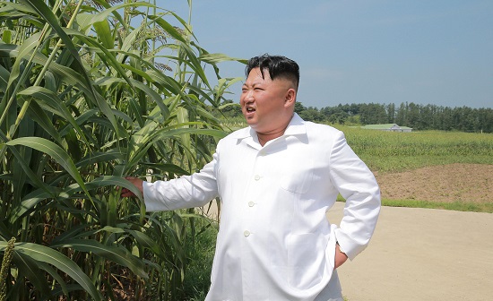 زعيم كوريا الشمالية يحاول تنمية مصادر بلاده الاقتصادية