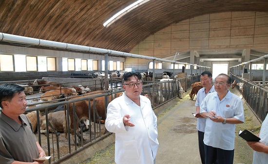 حوار بين زعيم كوريا الشمالية ومسئولى المزرعة