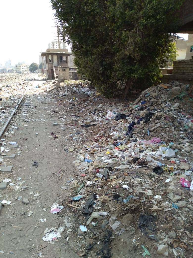 انتشار القمامة بشوارع الواسطى (2)