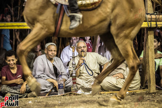 الجميع يشاهد العرض