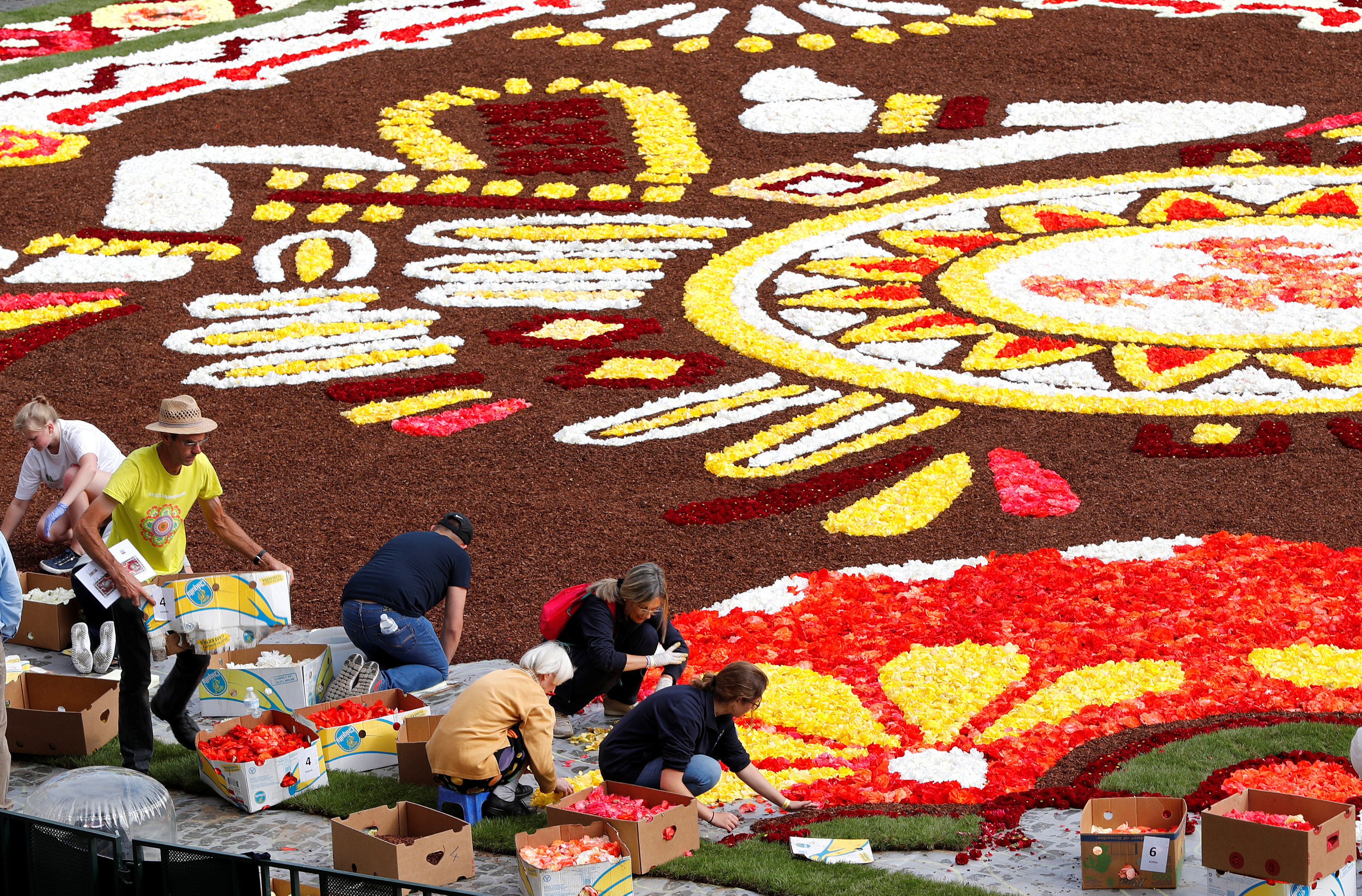 فنانين ينشأون سجادة الزهور ببلجيكا