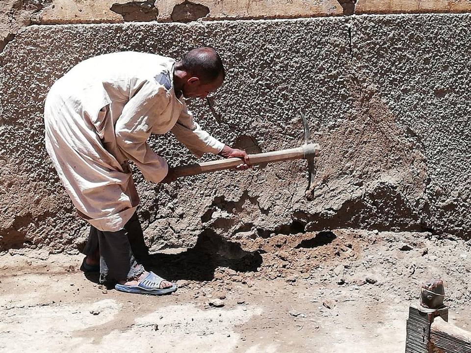 Governor of Luxor announces the spraying and treatment of 215 houses with termites (3)