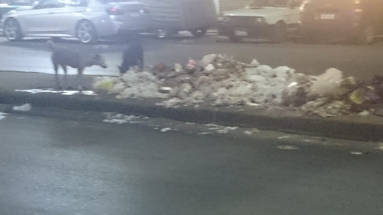 تراكم القمامة بشارع بورسعيد فى السيدة زينب (3)