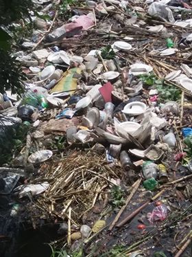  انتشار القمامة والمخلفات فى مياه ترعة القيناوية فى البحيرة  (3)
