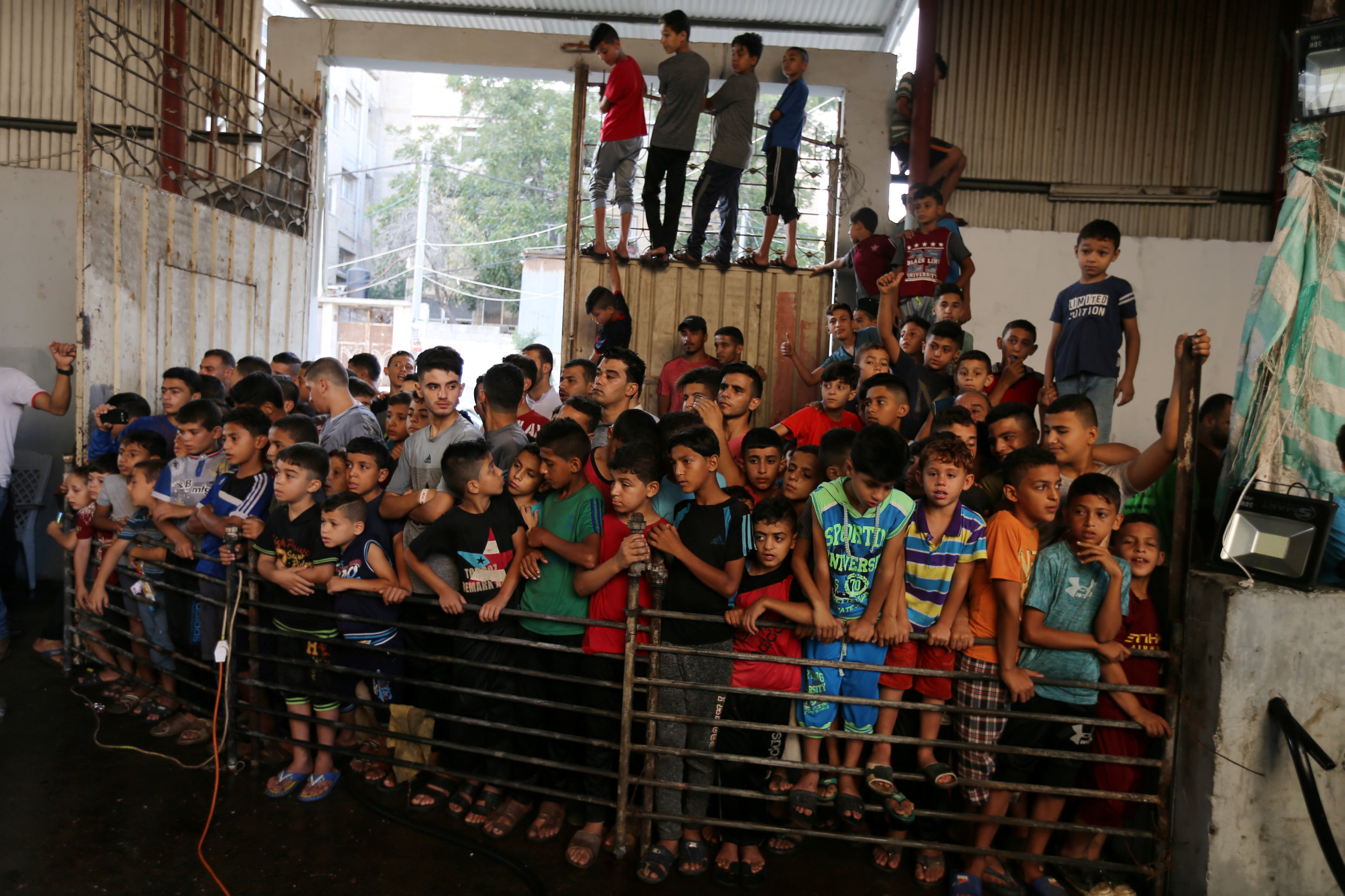 الأطفال يجتمعون لمشاهدة ذبح الأضاحى فى العيد فى فلسطين