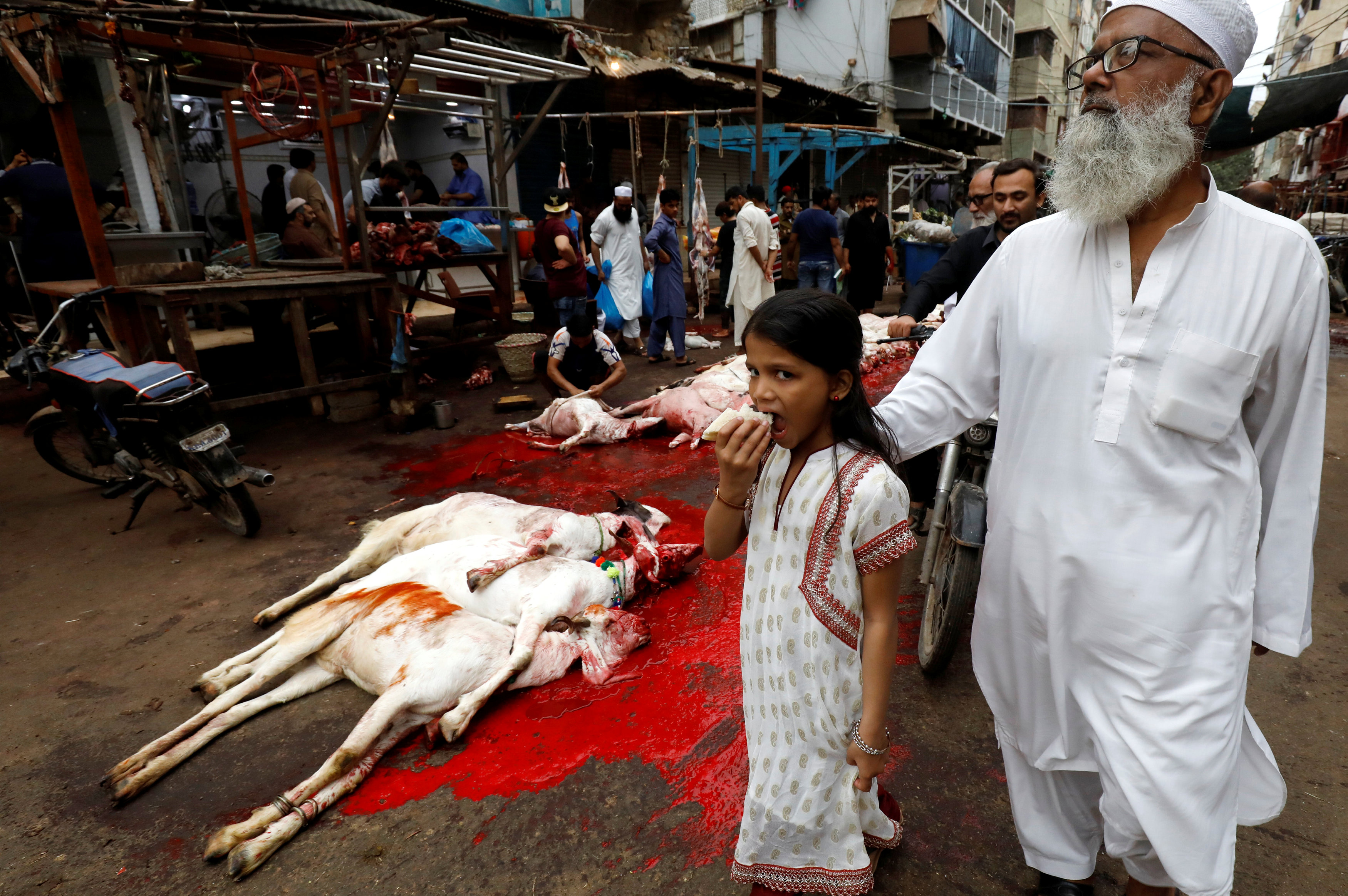 فتاة مع والدها تسير أمام الماعز بعد ذبح ذبيحة في الاحتفال بعيد الأضحى 