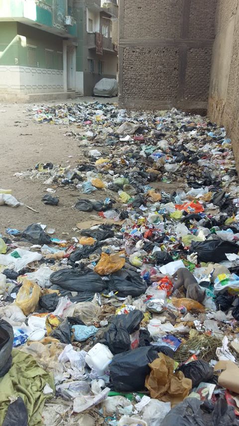 انتشار القمامة بشارع الجزيرة مركز جرجا سوهاج