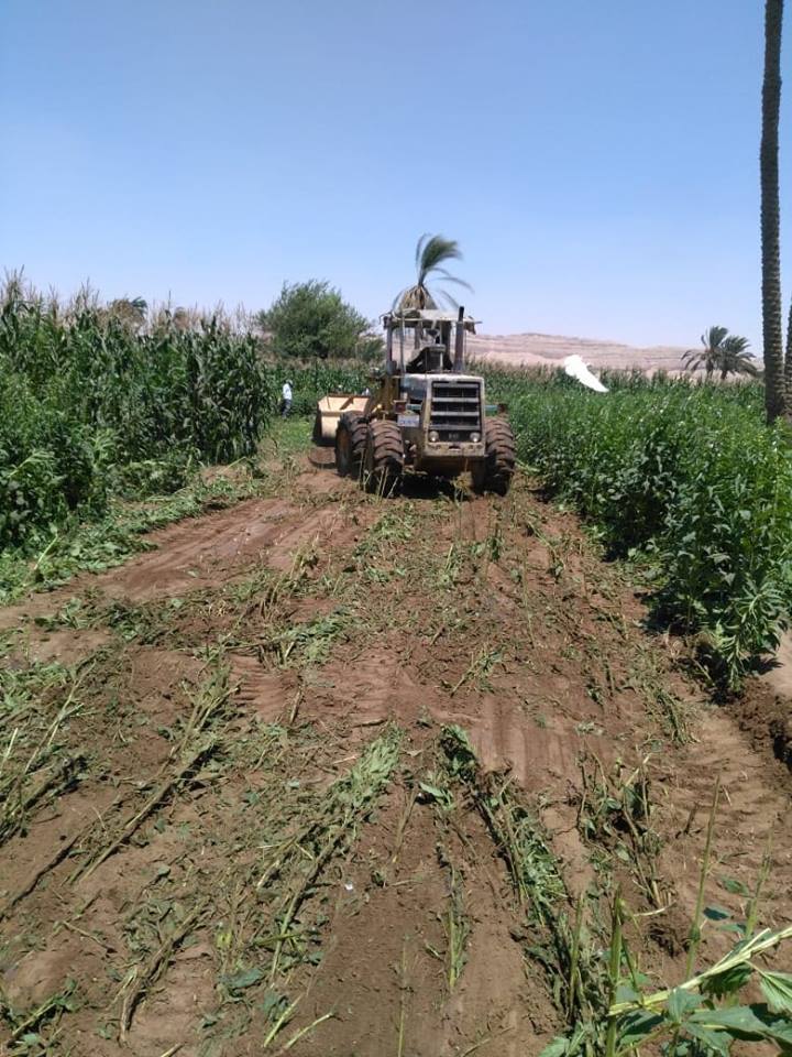 اعمال محور ديروط على النيل (6)