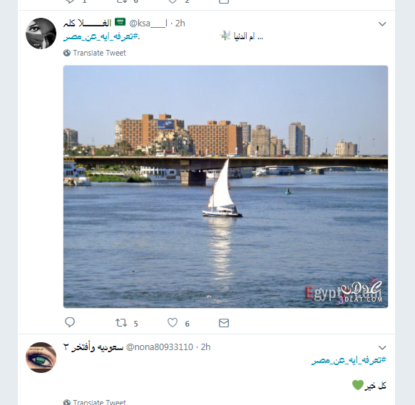 تغريدات الأشقاء العرب عن مصر