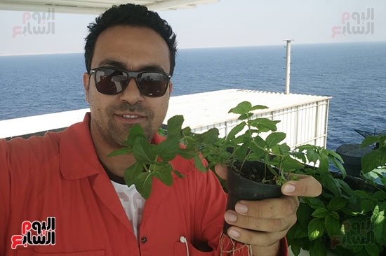 مهندس بترول يزرع سطح أول ناقلة بترول بالخضروات والنباتات العطرية (21)