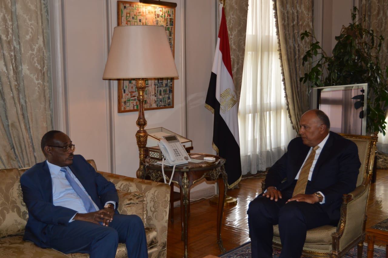 وزيرا خارجية مصر والسودان  (3)