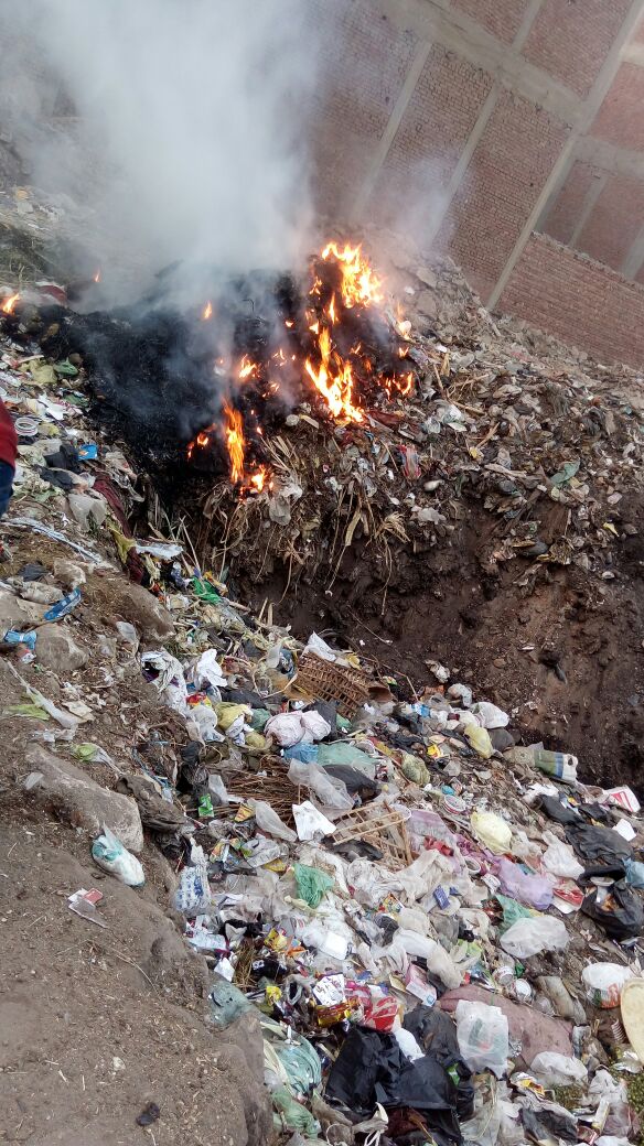 حرق القمامة يؤذى أهالى قرية البرادعة بالقليوبية (4)