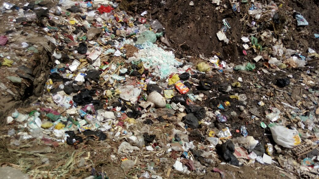 القمامة تحاصر أهالى قرية البرادعة بالقليوبية (1)
