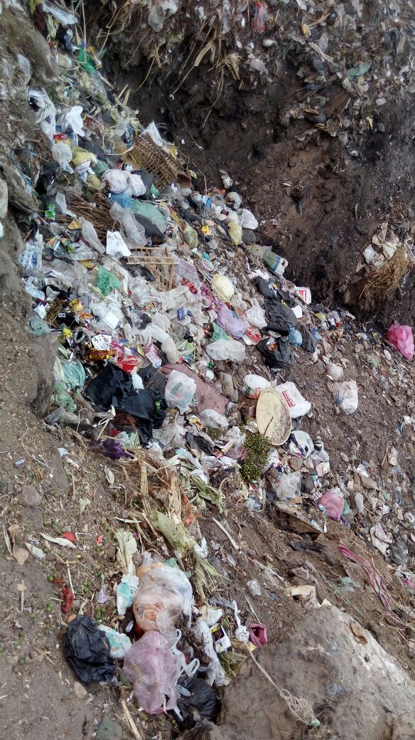  القمامة تحاصر أهالى قرية البرادعة بالقليوبية (2)