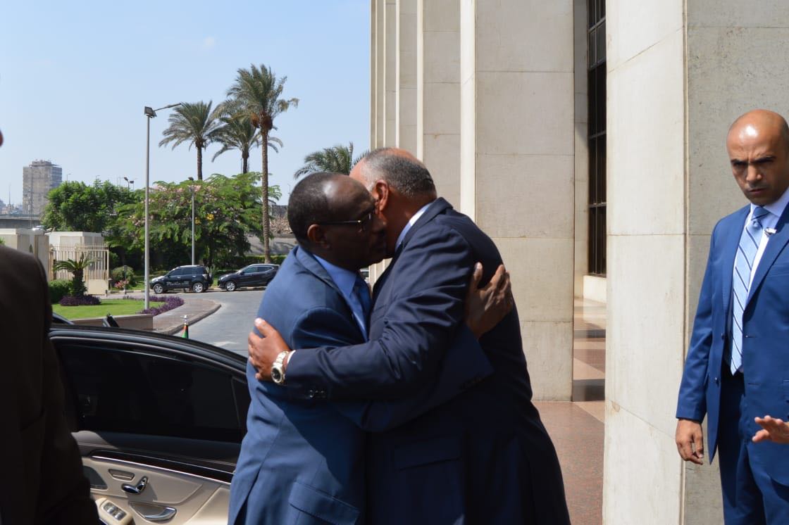 وزيرا خارجية مصر والسودان  (2)