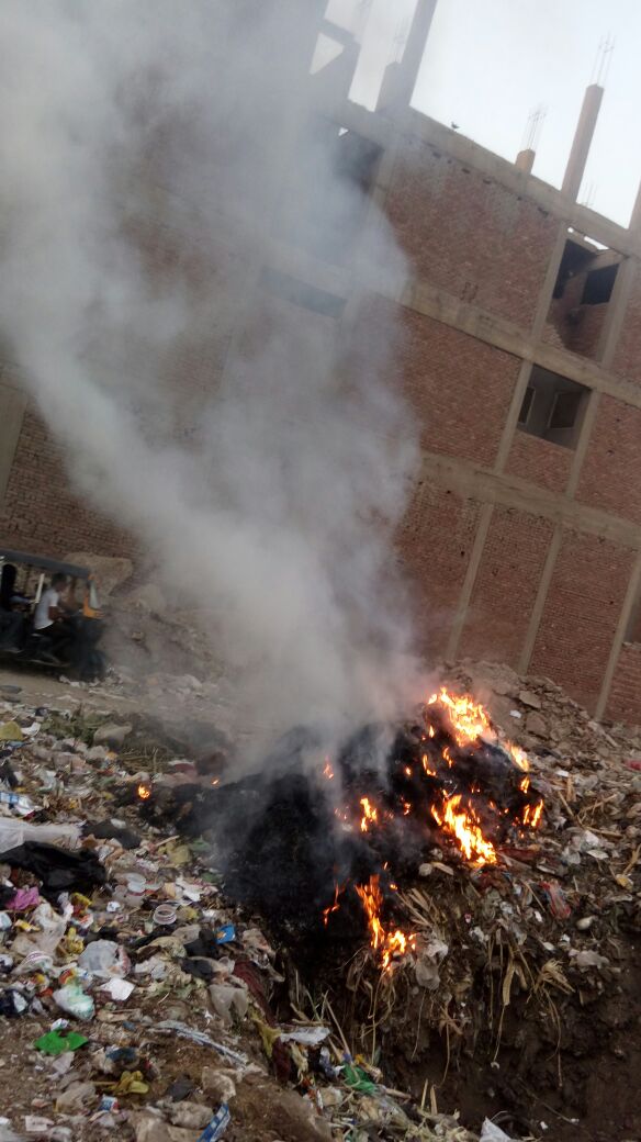 حرق القمامة يؤذى أهالى قرية البرادعة بالقليوبية (3)