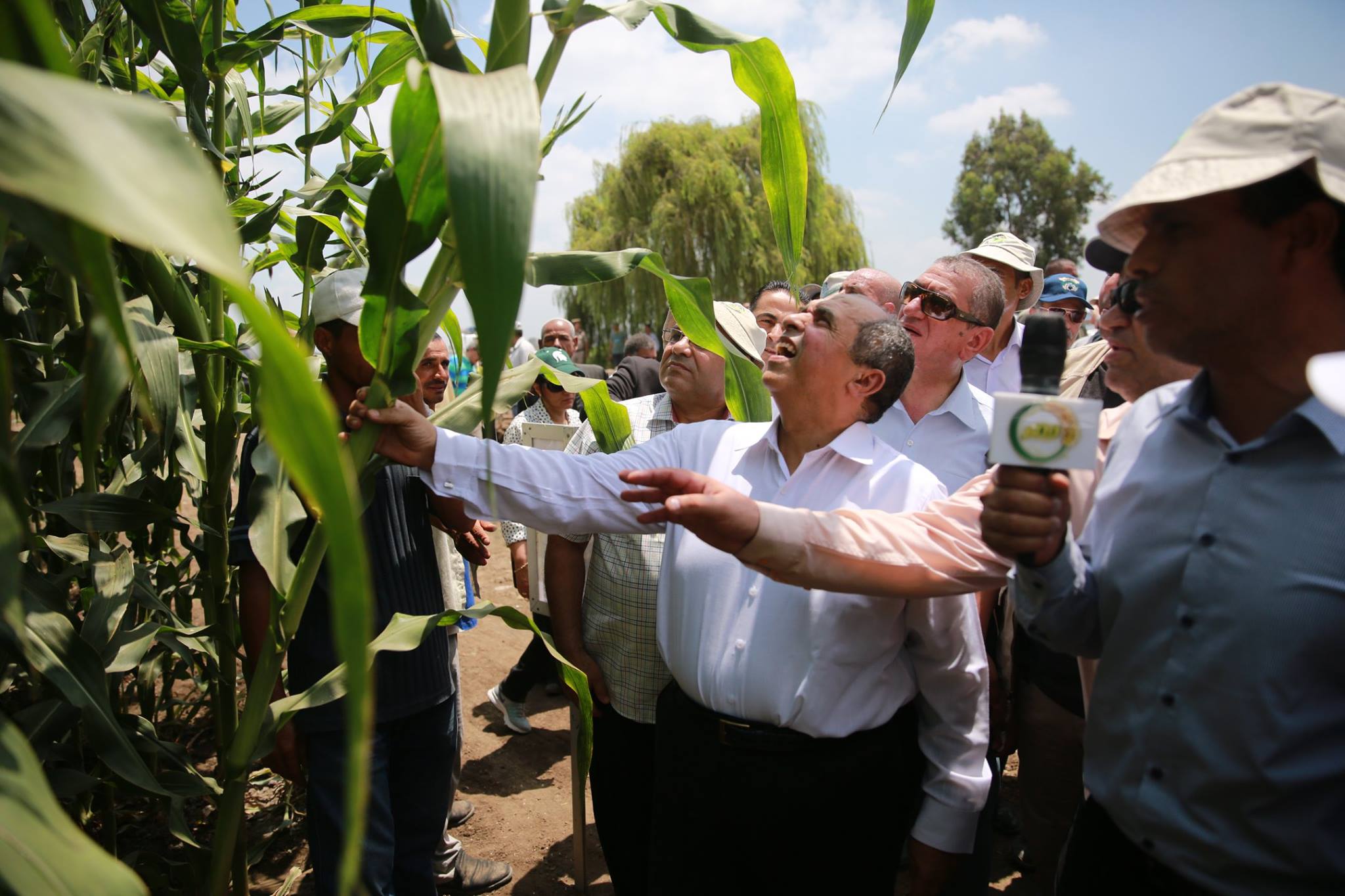 محافظ كفر الشيخ ووزير الزراعه يتفقدان مزارع البحوث الحقلية