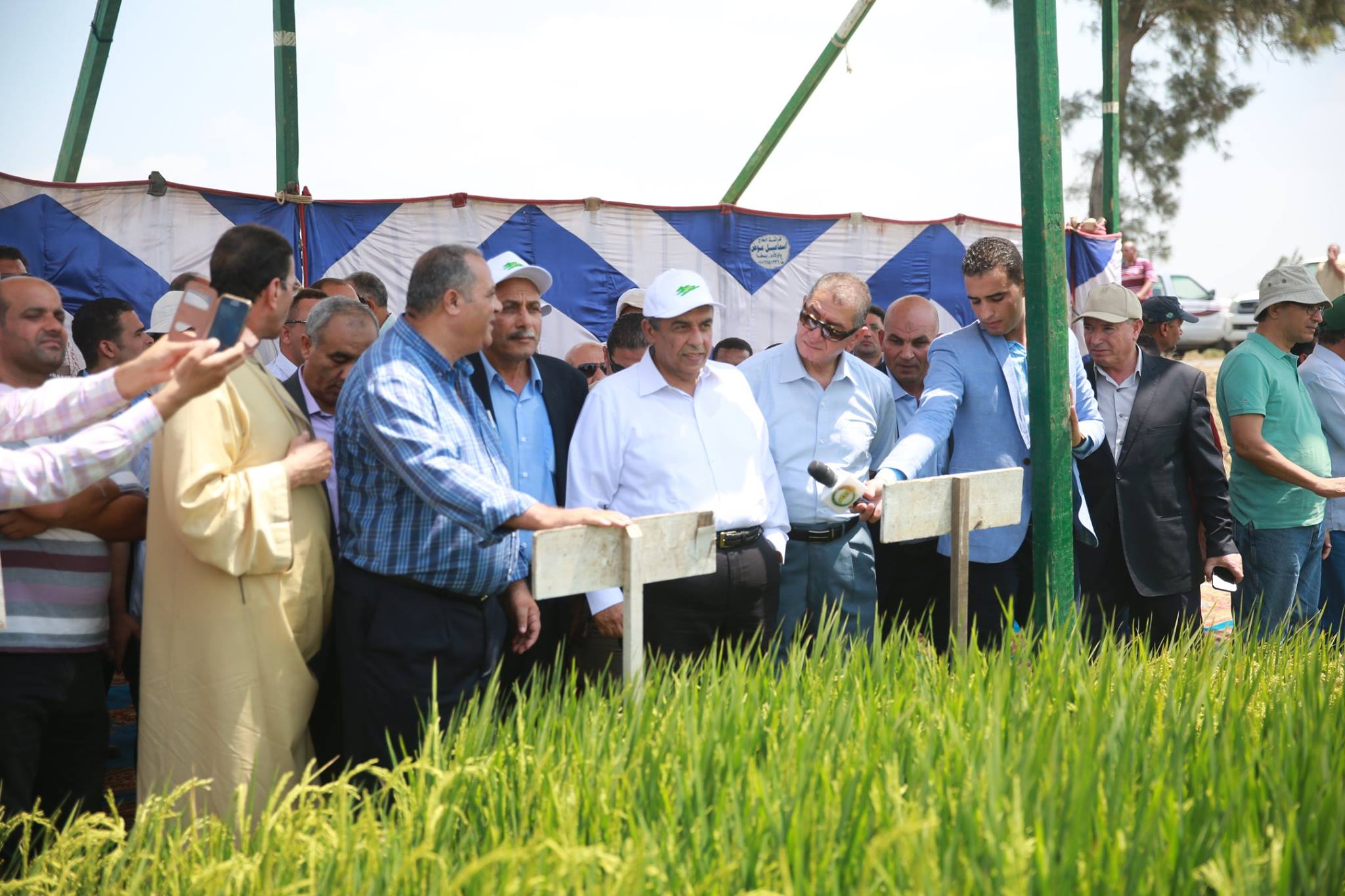 وزير الزراعة  ومحافظ كفر الشيخ يتفقدان الحقول بمركز بحوث سخا