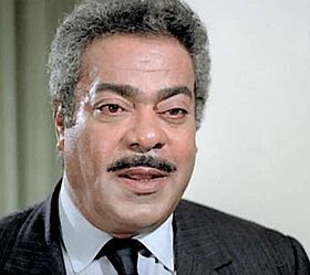 السنيدة فى السينما المصرية نعرفهم شكلا فقط تعرف على أسمائهم وتفاصيل أخرى اليوم السابع