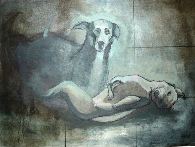 دينا غصام دينا غصام