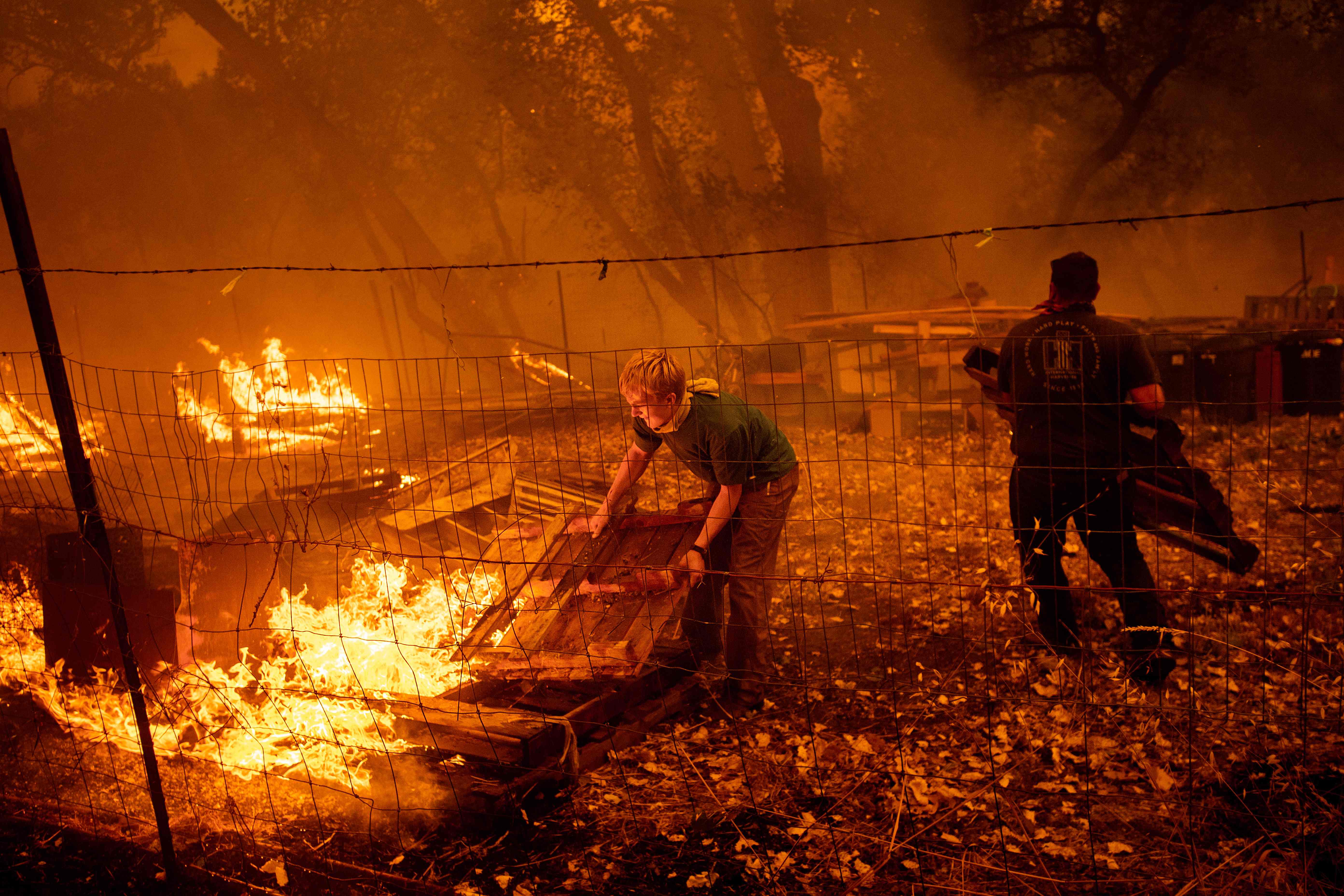 حرائق الغابات فى كاليفورنيا 