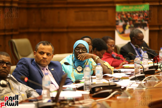 الاجتماع الثاني للجنة الشئون الافريقية مع البرلمان الافريقي  (11)