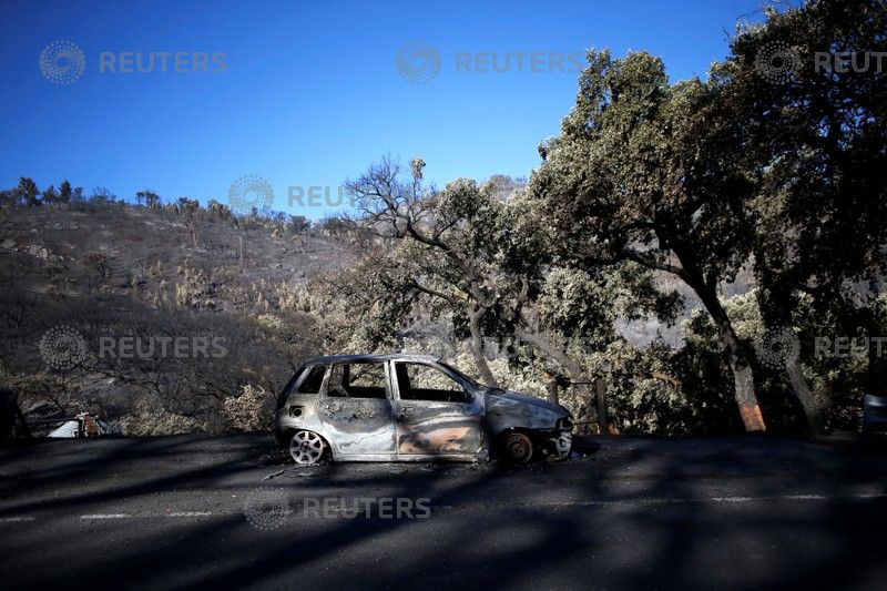 	النيران تلتهم الغابات والسيارات فى البرتغال